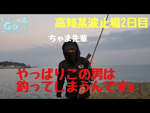 エギング 高知 釣り 波止場 アオリイカ Let S Go そま春 全国釣り動画 Snsまとめサイト