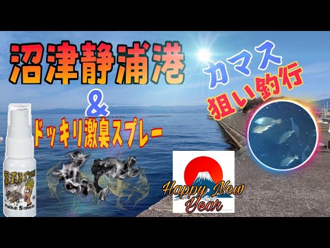 静岡県沼津市静浦港 魚が釣れない時はこうして遊ぶ 全国釣り動画 Snsまとめサイト