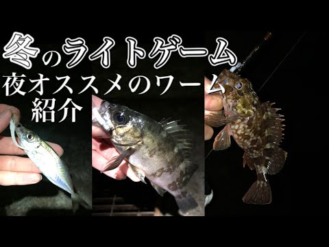 福井県若狭湾年 アジング メバリング ガシリング いっぱい釣れた冬のライトゲーム 夜にオススメワームの紹介もしてます 全国釣り動画 Snsまとめサイト