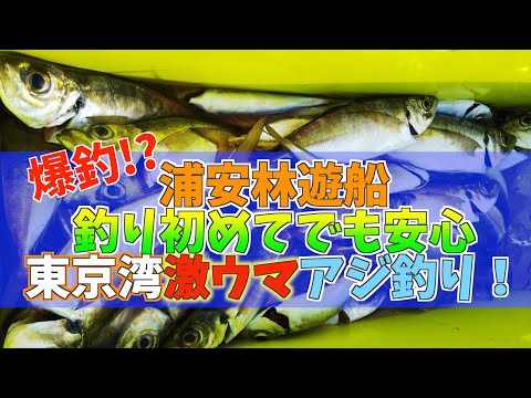 釣り初心者でも安心 東京湾激ウマアジ釣り 浦安林遊船 全国釣り動画 Snsまとめサイト