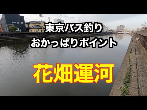 東京バス釣りおかっぱりポイント 花畑運河 全国釣り動画 Snsまとめサイト