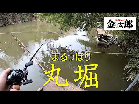 バス釣り 丸堀 埼玉県の野池お初です 全国釣り動画 Snsまとめサイト