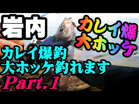 釣り 北海道岩内港 カレイ爆釣 大ホッケ ジグ投げサビキ 石狩から遠征 セリア１００円赤金ジグ Part1 Flatfish And Large Atka Mackerel Fishing 全国釣り動画 Snsまとめサイト