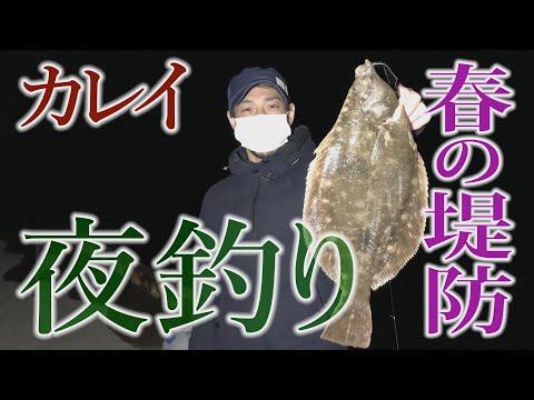 春の堤防で夜釣り いったい何が釣れる 福島県いわき市 全国釣り動画 Snsまとめサイト