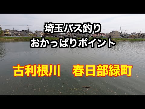 埼玉バス釣りおかっぱりポイント 古利根川 春日部緑町 全国釣り動画 Snsまとめサイト