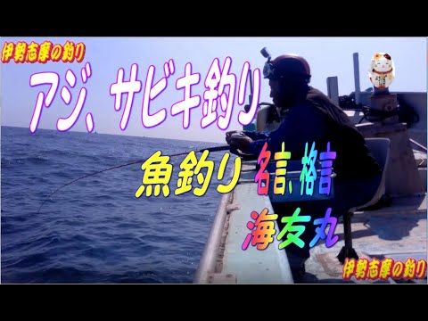 三重県波切港 サビキ釣り名言 格言集 全国釣り動画 Snsまとめサイト