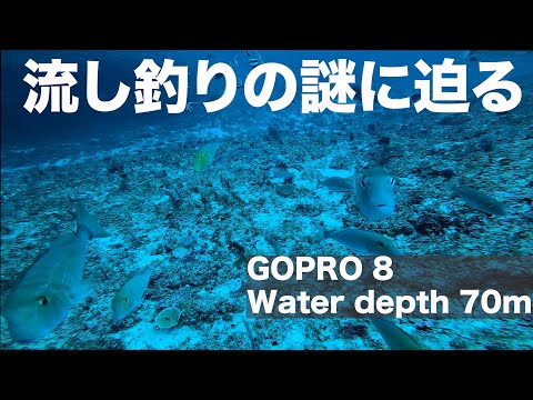 沖縄の釣り 水中動画で解説 Gopro8 Water Depth70m 全国釣り動画 Snsまとめサイト