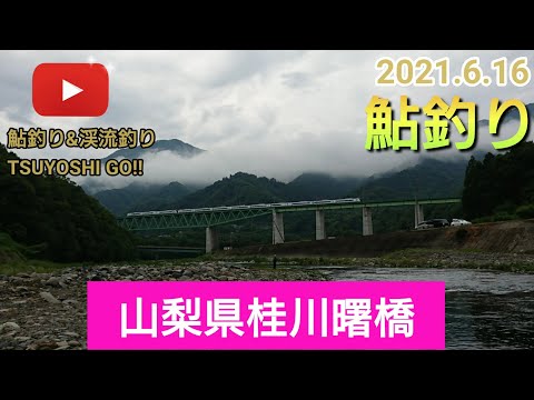 鮎釣り 21 6 16山梨県桂川曙橋 7 全国釣り動画 Snsまとめサイト 鮎釣り 21 6 16山梨県桂川曙橋 7 全国釣り動画 Snsまとめサイト