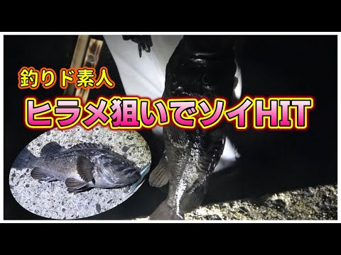 ナイトフィッシング 北海道 函館 釣りド素人 夜ヒラメを狙いに行ったらデカソイ釣れました 全国釣り動画 Snsまとめサイト