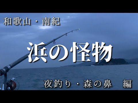 ぶっこみ釣り 夜の浜辺で怪物退治 巨大魚 和歌山 南紀の夜釣り エサはタコとイカ 大物狙い 全国釣り動画 Snsまとめサイト