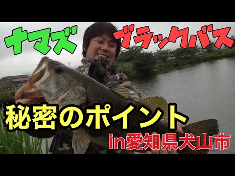 釣りナマズ ブラックバス 地元アングラーおすすめ 愛知県犬山市半之木川のポイント紹介 全国釣り動画 Snsまとめサイト