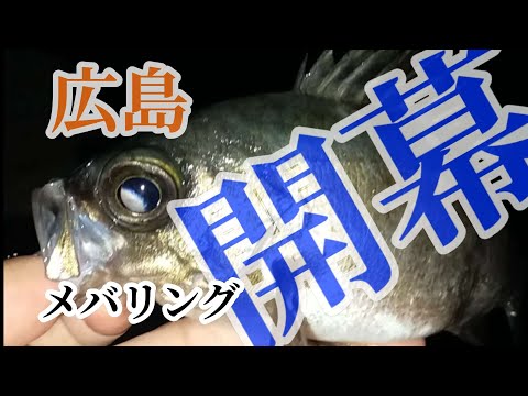 広島 釣り 広島市内メバリング 開幕の鐘は私が鳴らす アジング メバル ライトゲーム 全国釣り動画 Snsまとめサイト