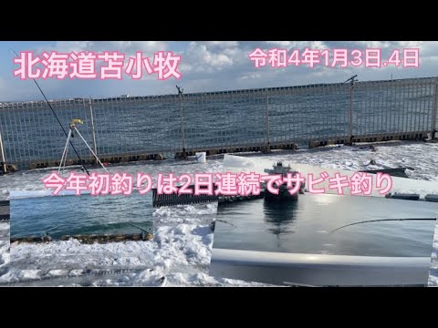 魚釣り 北海道苫小牧 今年の初釣りは2日連続でサビキ釣り 全国釣り動画 Snsまとめサイト