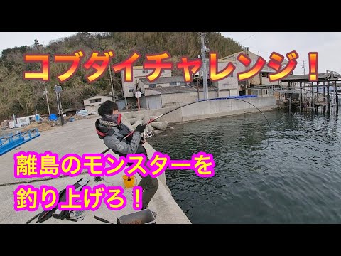 コブダイチャレンジ 香川県の離島でモンスターを釣りあげろ モンスターを釣って美味しく食べる お刺身 から衝撃的な かぶと煮 まで 全国釣り 動画 Snsまとめサイト