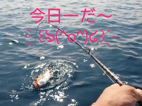 青森県鯵ヶ沢釣行7 25 全国釣り動画 Snsまとめサイト