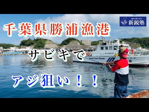 乾の休日 千葉県の勝浦港にアジ釣り行ってきた 全国釣り動画 Snsまとめサイト