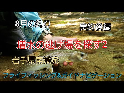 増水の逃げ場を探す 実釣後編 岩手県南渓流 ガイド ガイドポイント8月の釣り フライフィッシング ヤマメ イワナ 岩手の釣り 渓流釣り 渓流ルアー 釣り百景 釣りよか 釣りいろは 全国釣り動画 Snsまとめサイト